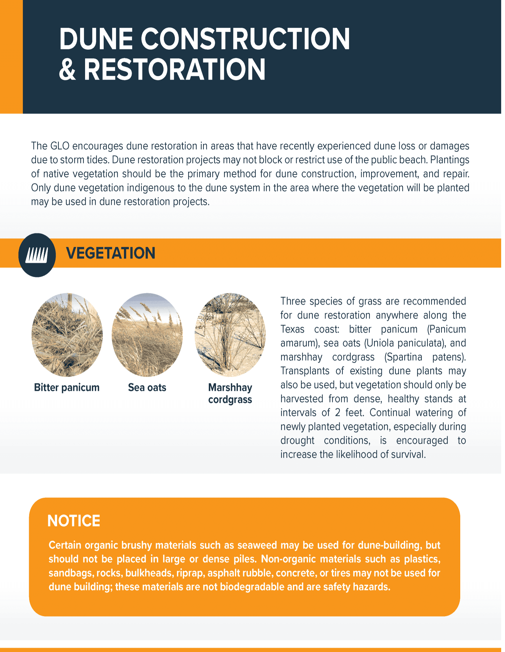 Dune Construction_Page_1